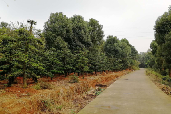 白云基地